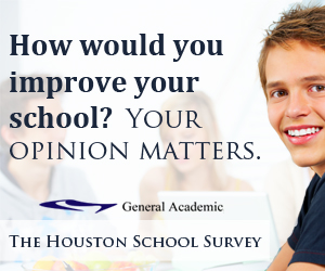 300x250 Ad for Houston School Survey