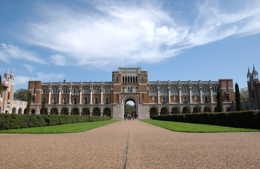 Rice panorama